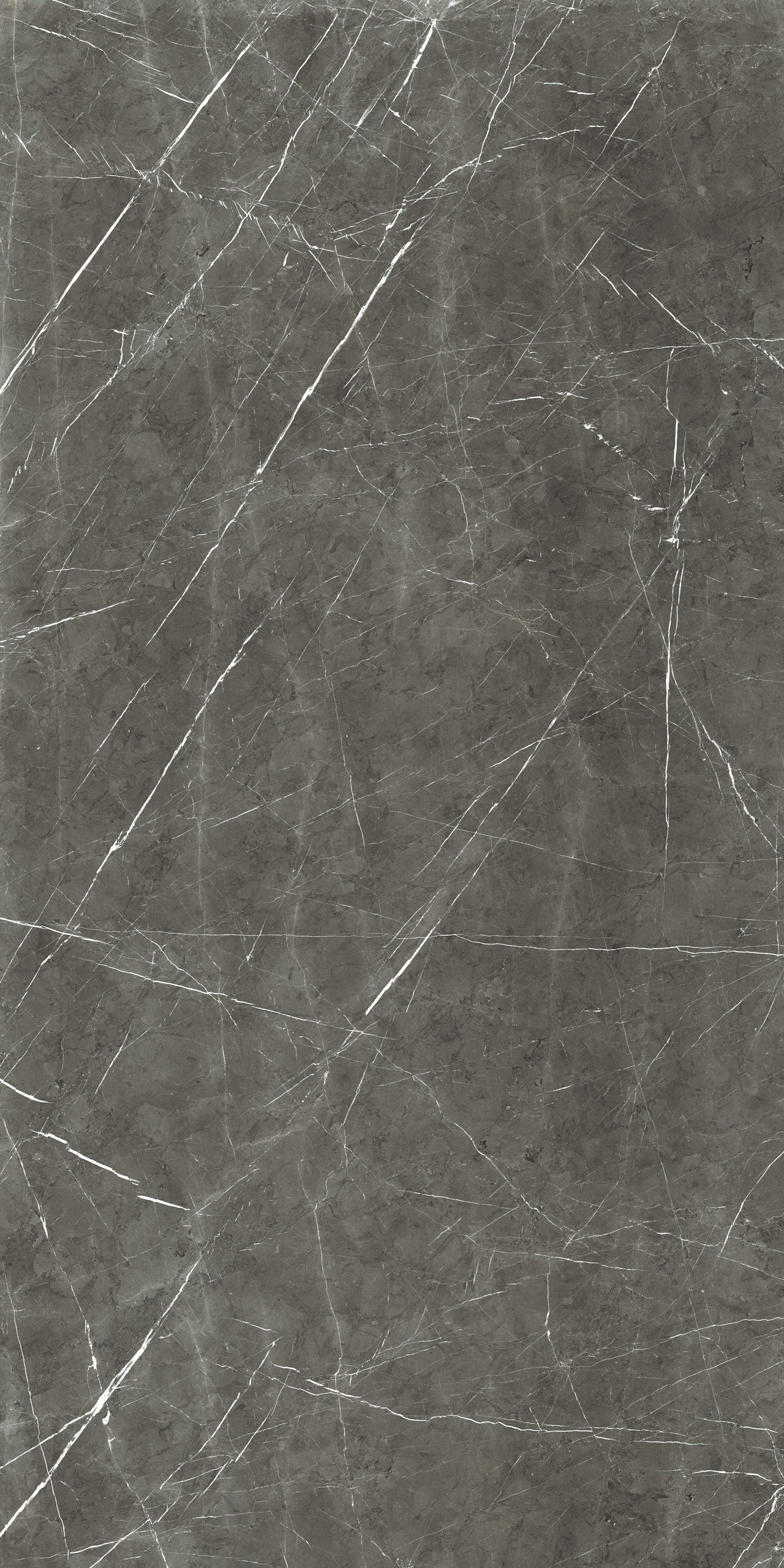 Marmi Marble Gray (Glossy)