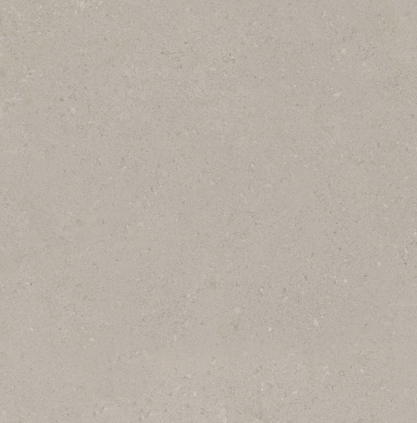 Calma Grey Limestone Polished