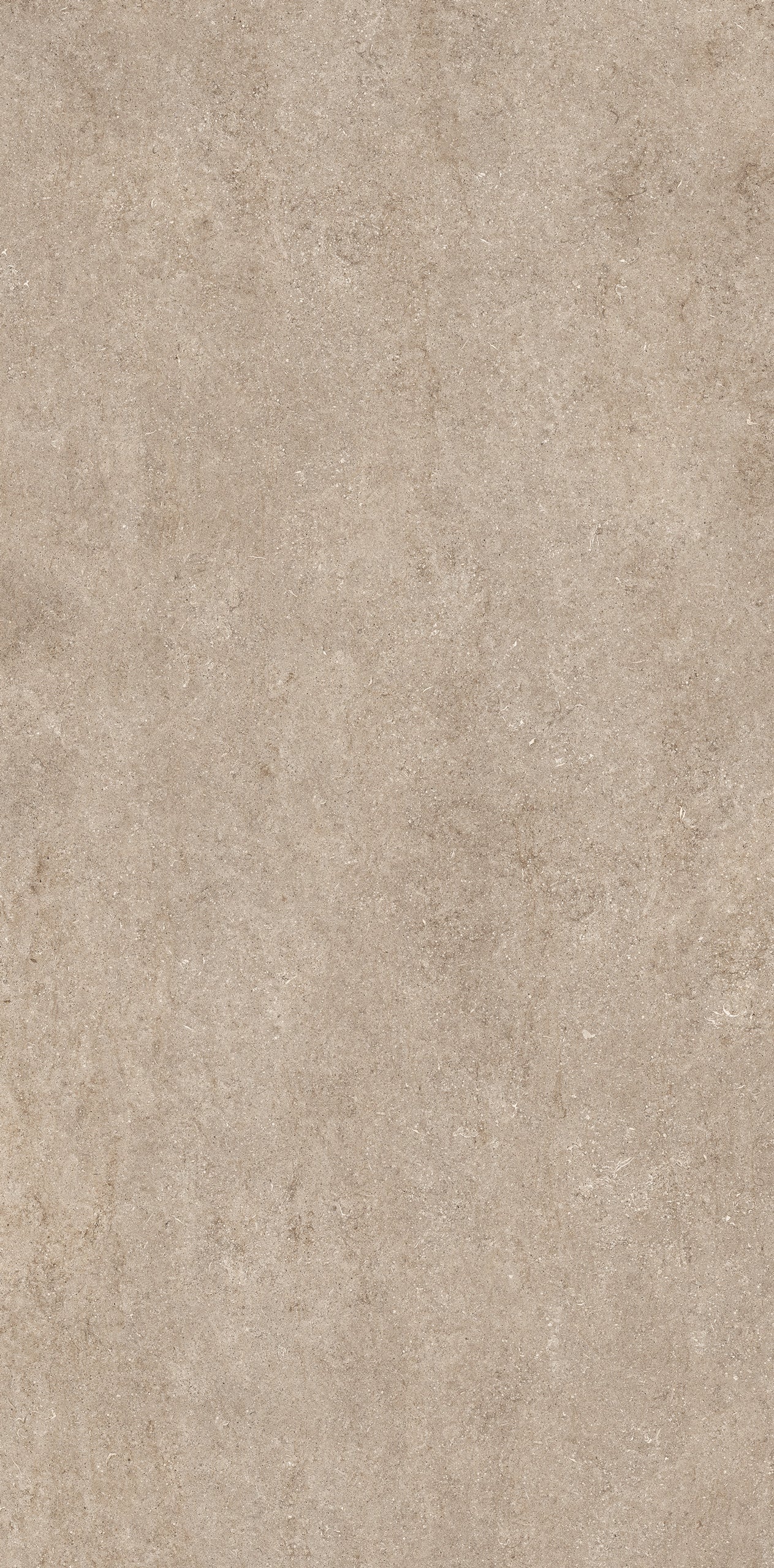 Pietre Fossil Ivory (Matte)