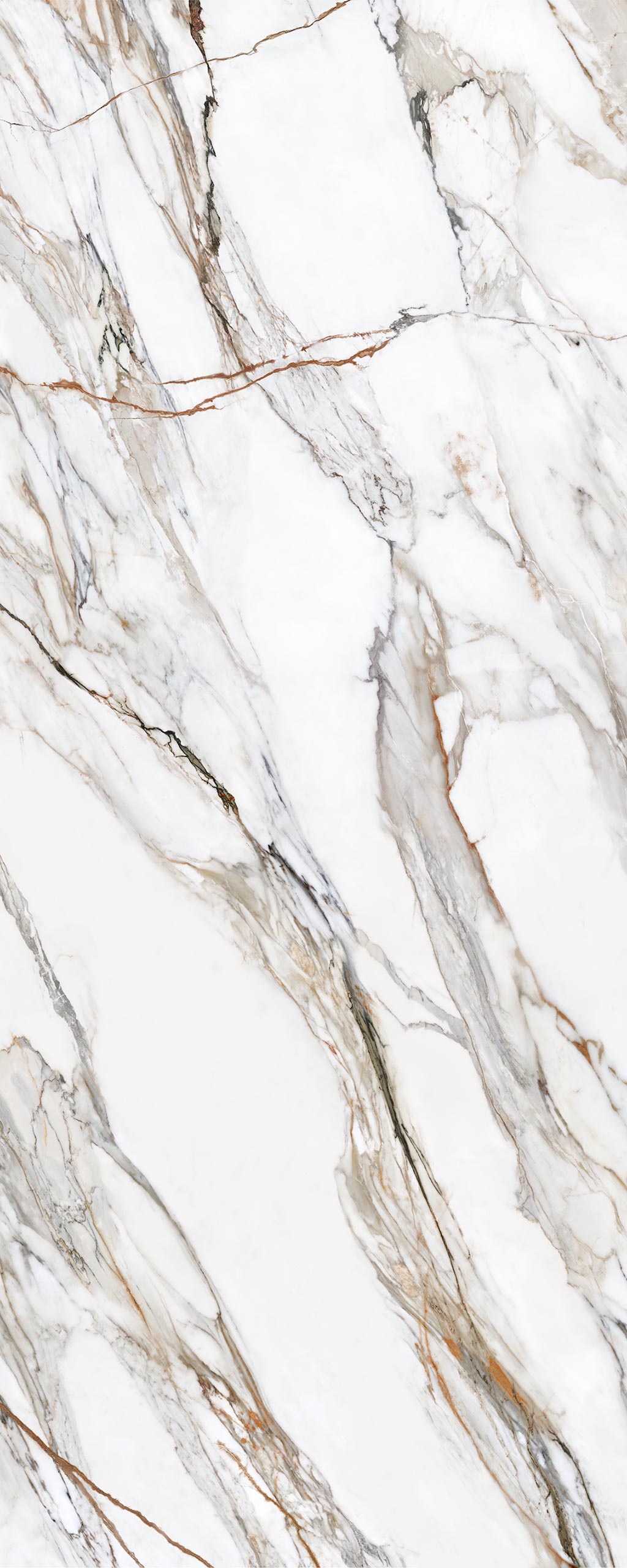 calacatta-paonazzo-polished