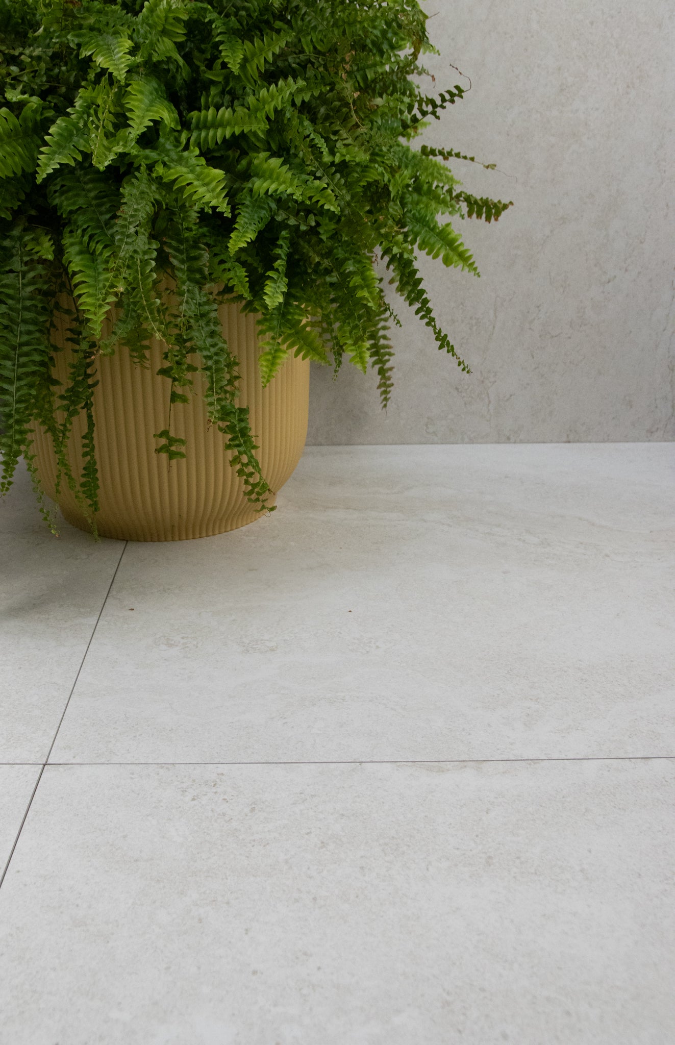 Kamien Milk Cross Cut