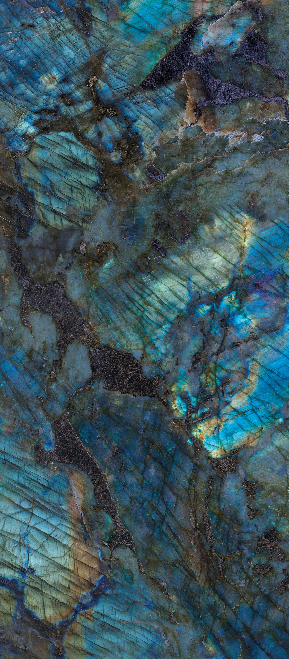 Marmi Labradorite (Full Lappato)