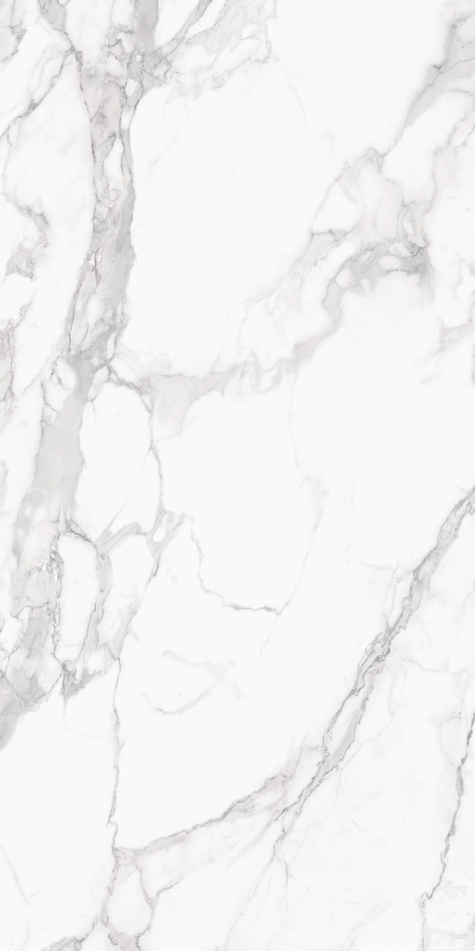 Marmi Level Calacatta (Full Lappato)