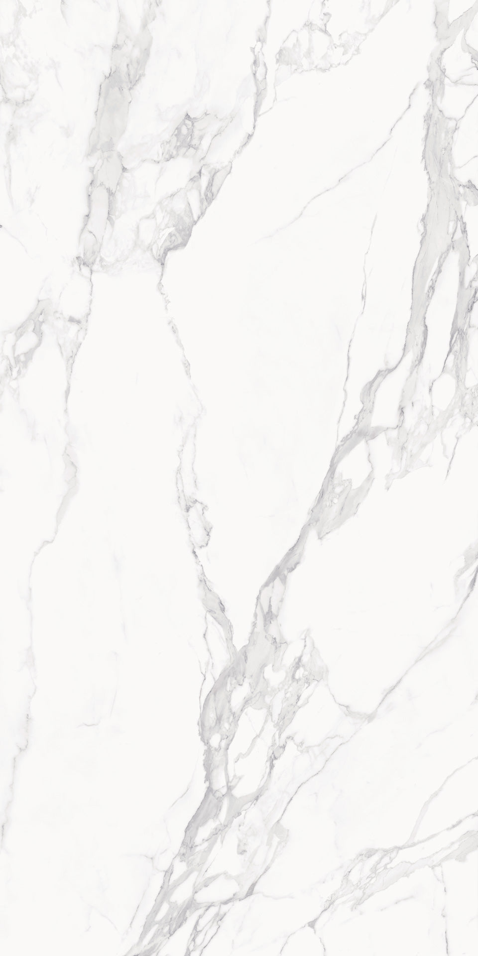 Marmi Level Calacatta (Full Lappato)