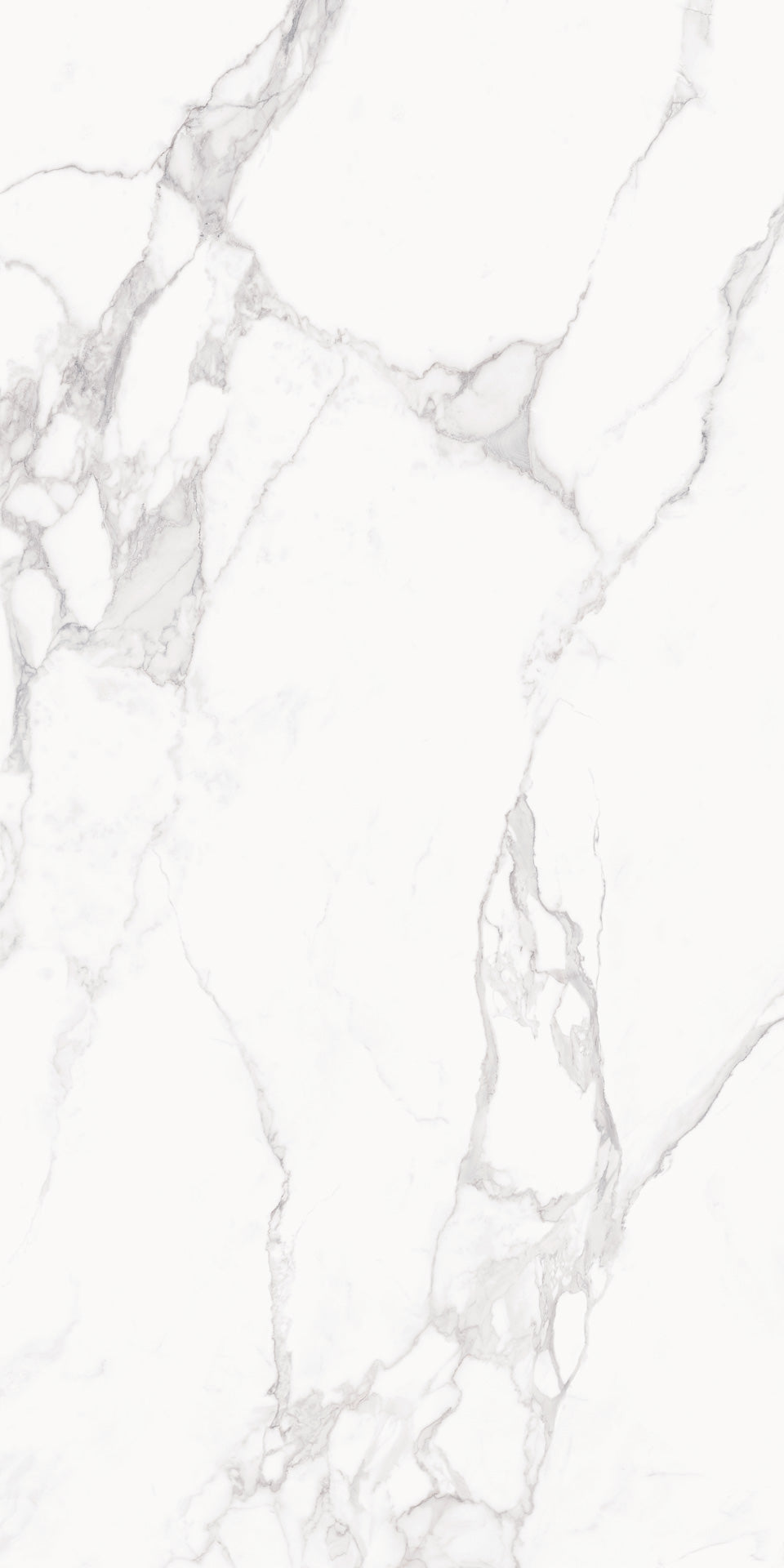 Marmi Level Calacatta (Full Lappato)