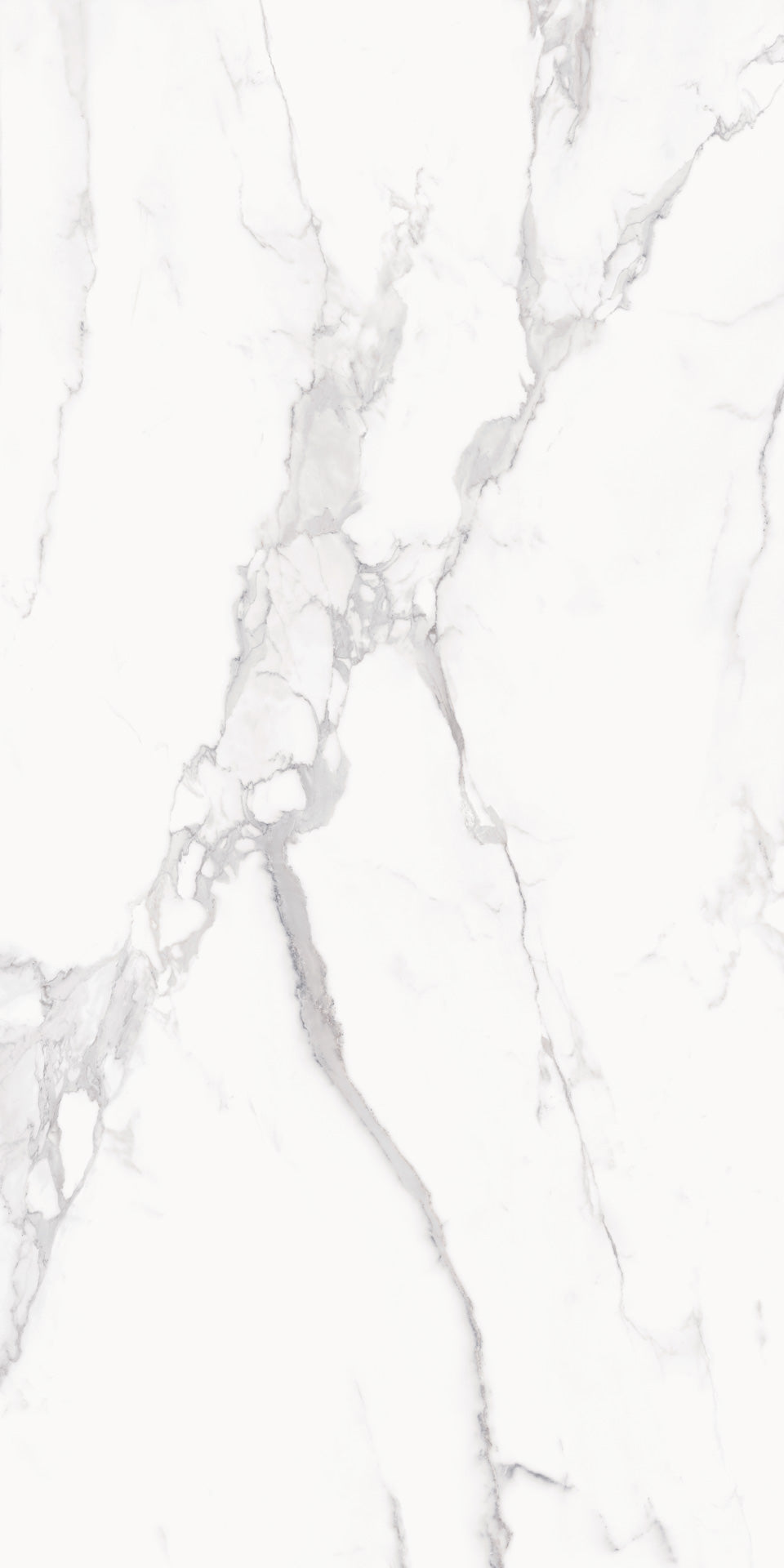 Marmi Level Calacatta (Full Lappato)