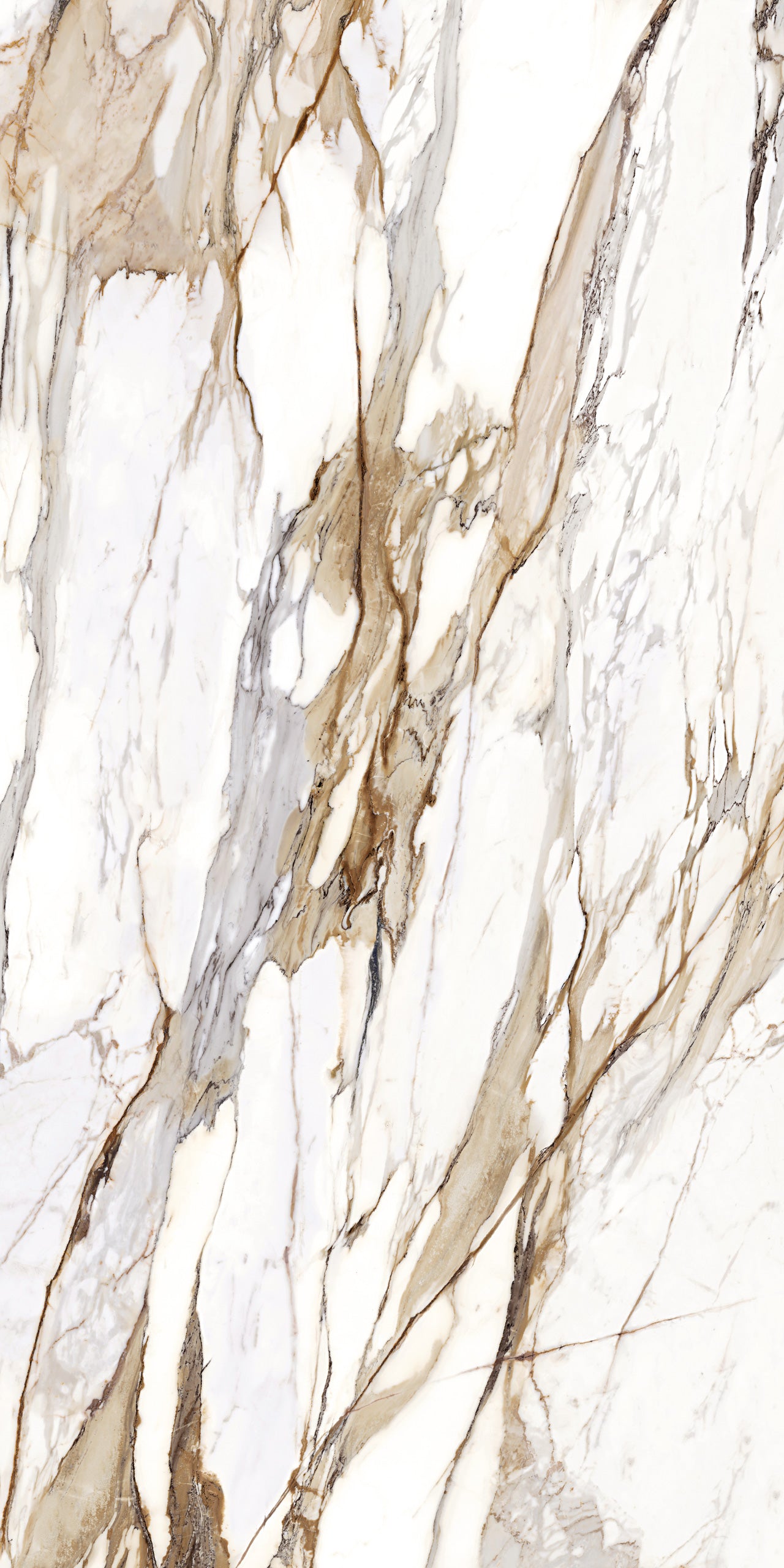 Marmi Macchia Vecchia (Full Lappato)