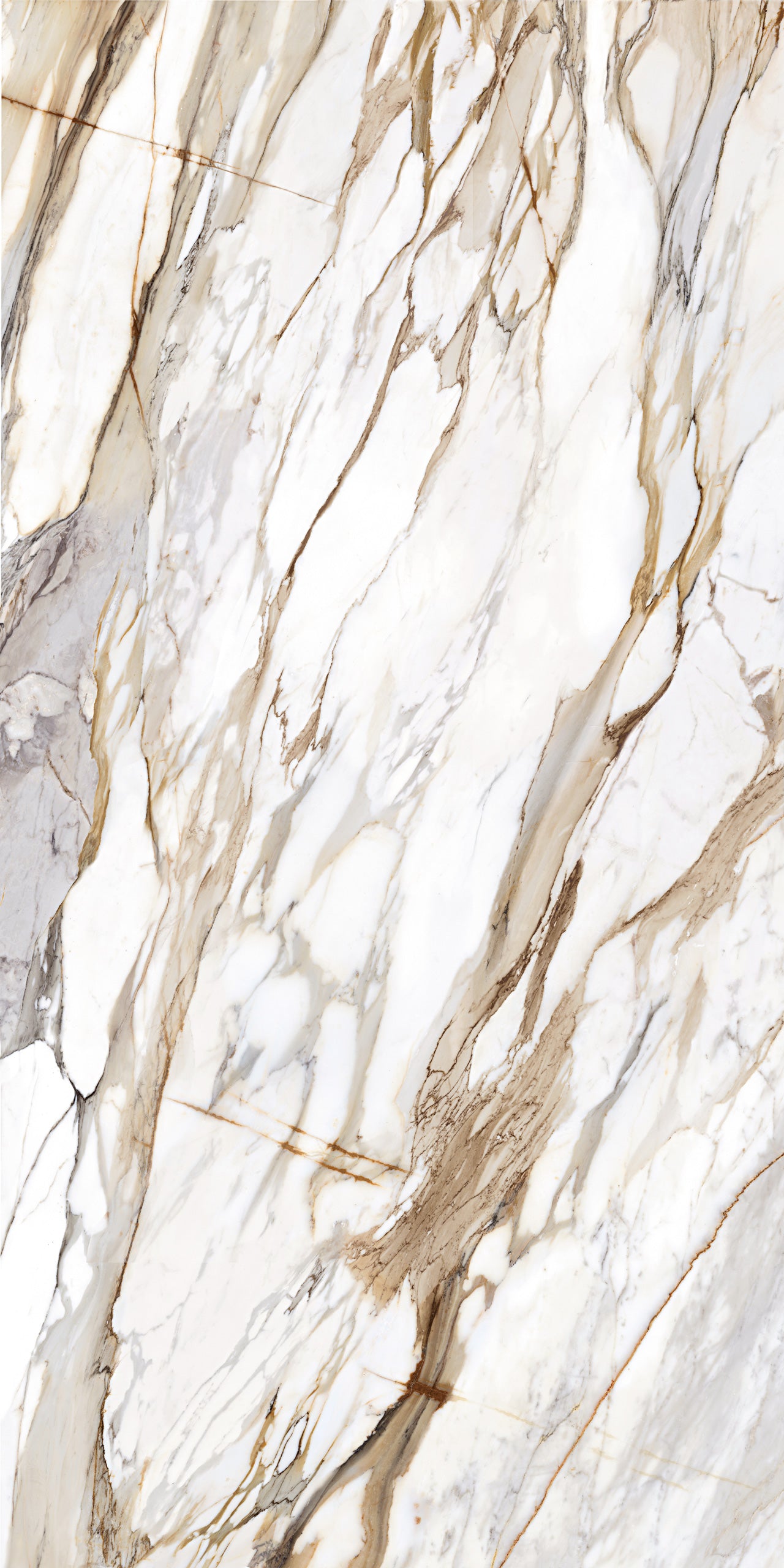 Marmi Macchia Vecchia (Full Lappato)