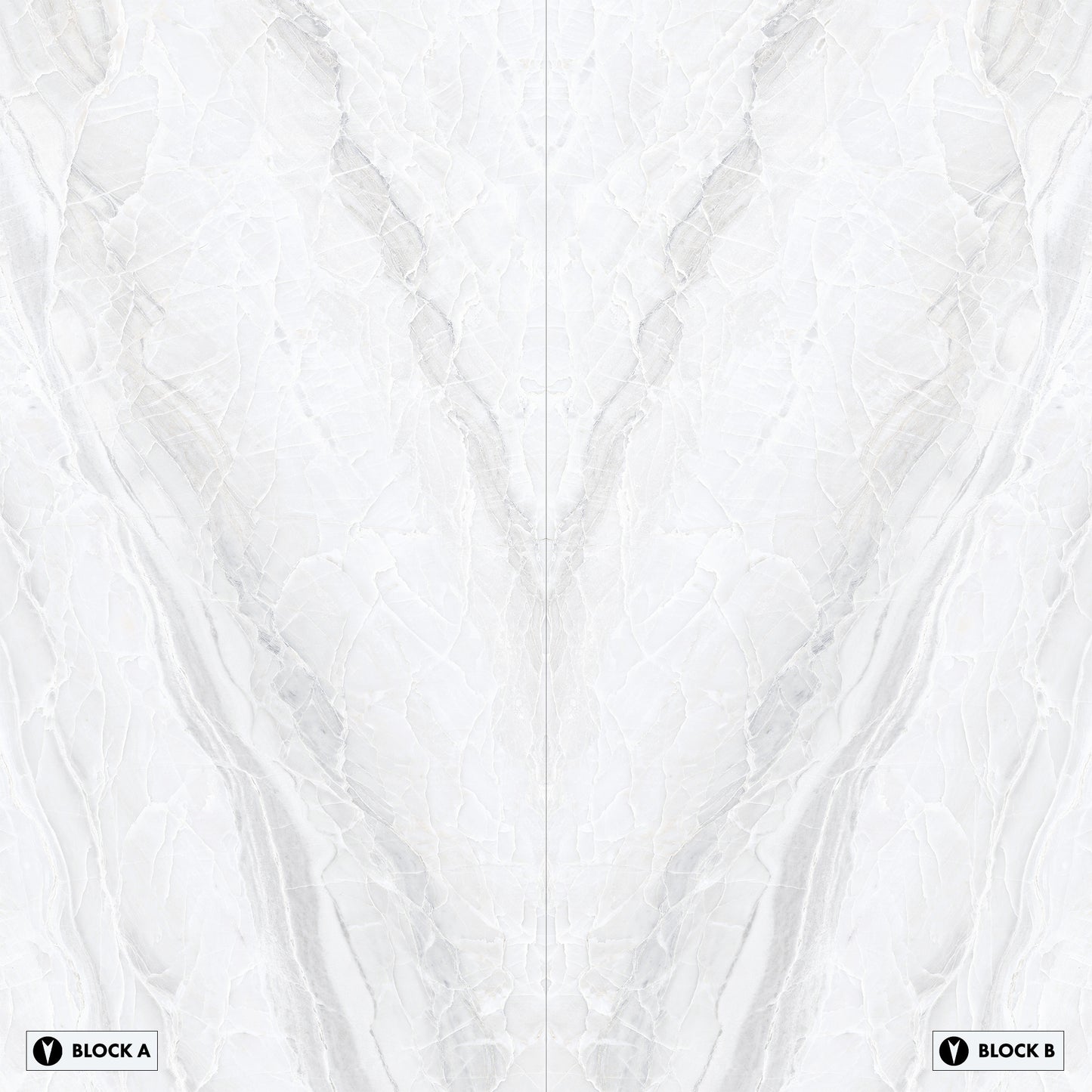 Marmi White Paradise Bookmatched (Full Lappato)