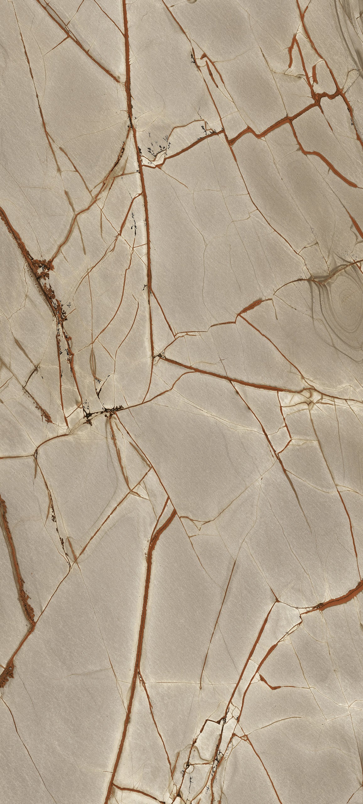 Marmi Rainforest (Glossy)