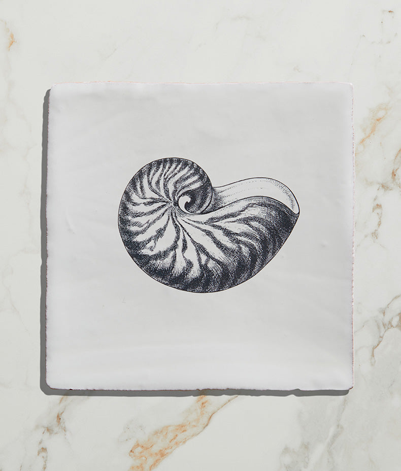 St Ives Ceramic Nautilus