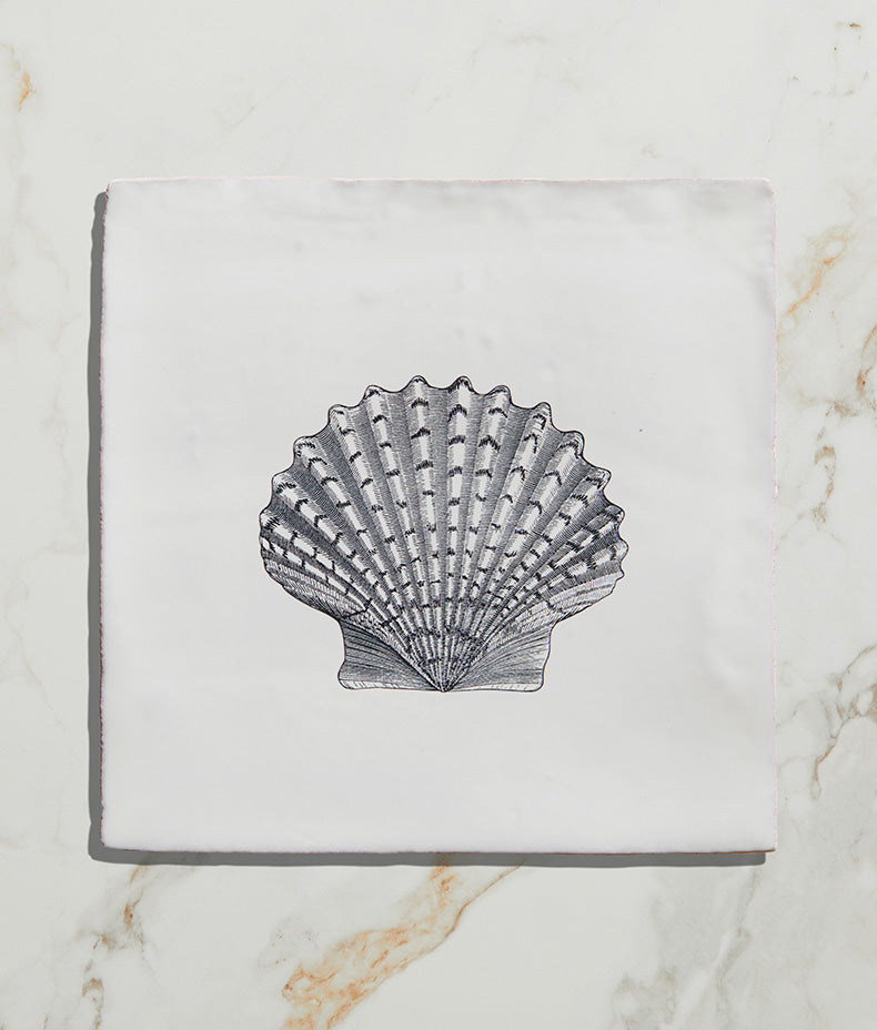 St Ives Ceramic Scallop