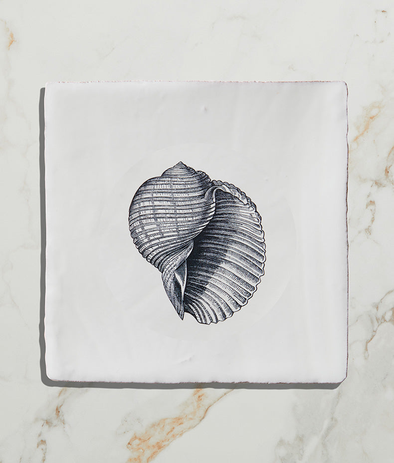 St Ives Ceramic Triton