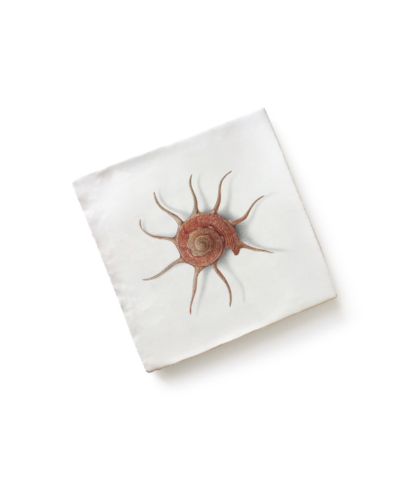 Angove Menagerie Ceramic Sun Shell