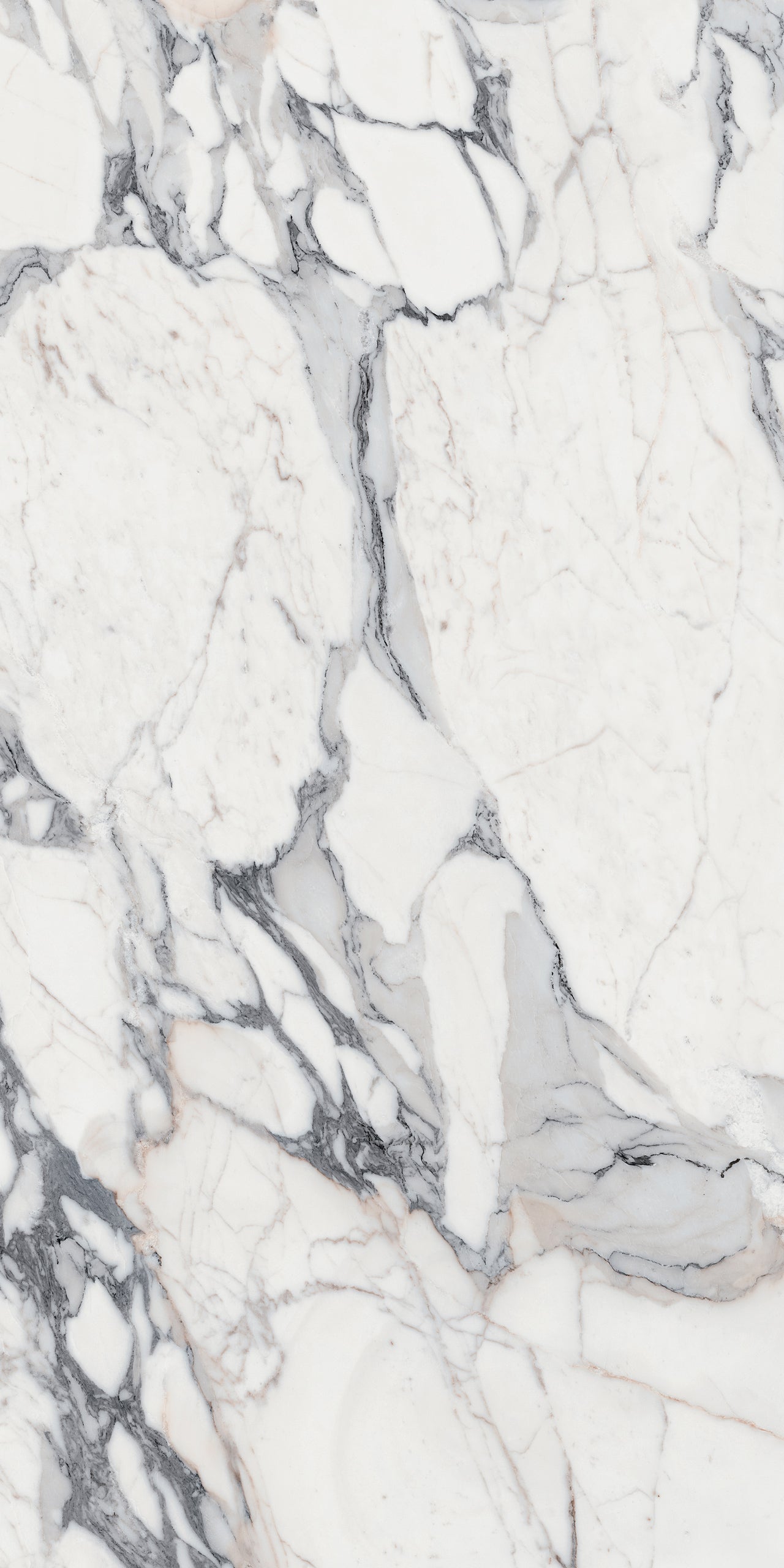 Marmi Origines Argent (Glossy)