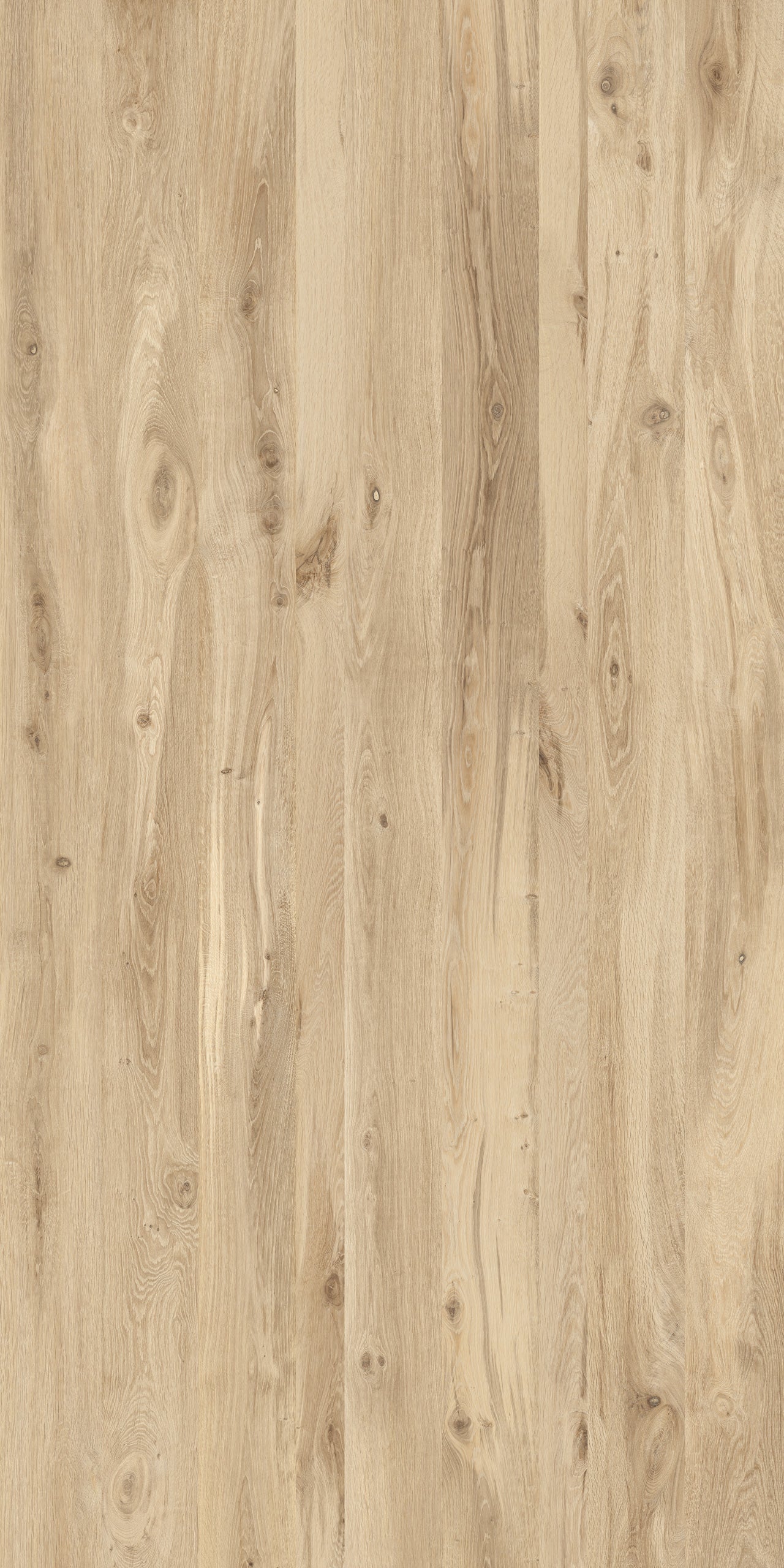 Blonde Oak (Naturale)