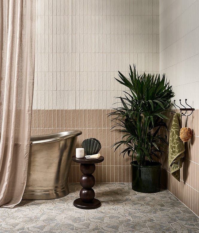 Earthenware Porcelain Plaster