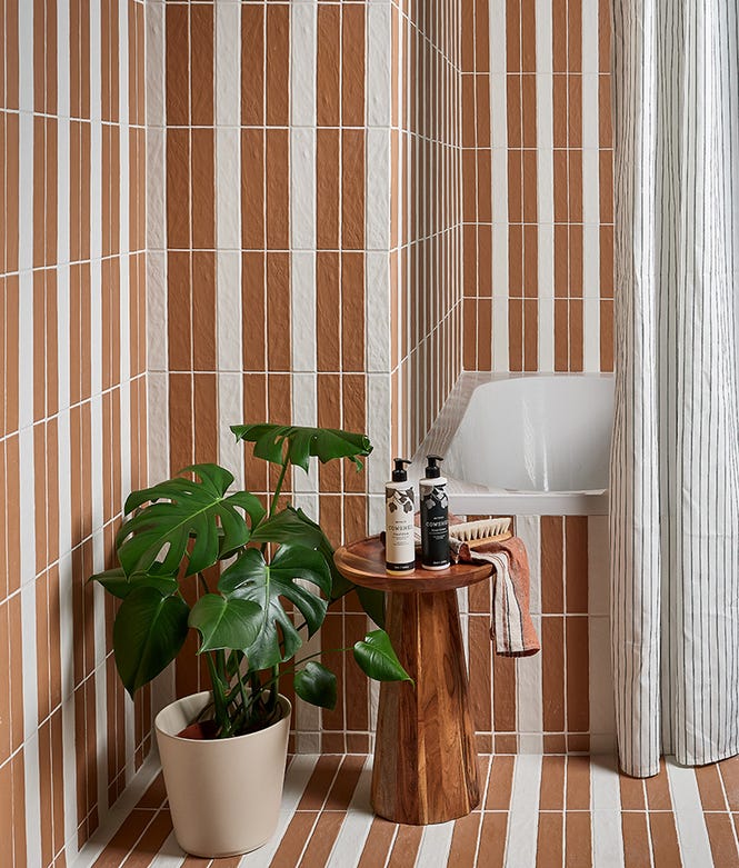 Earthenware Porcelain Soft White