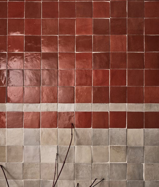 Maroc Porcelain Tomato