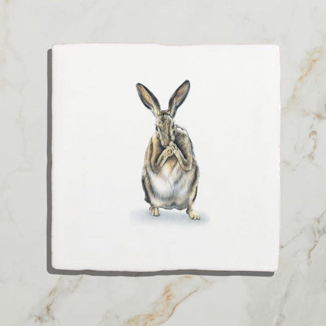 Wiltshire Hares by Joanna May (On Rural White Base) Gloss Finish