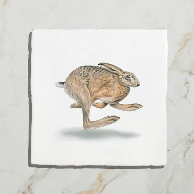 Wiltshire Hares by Joanna May (On Rural White Base) Gloss Finish