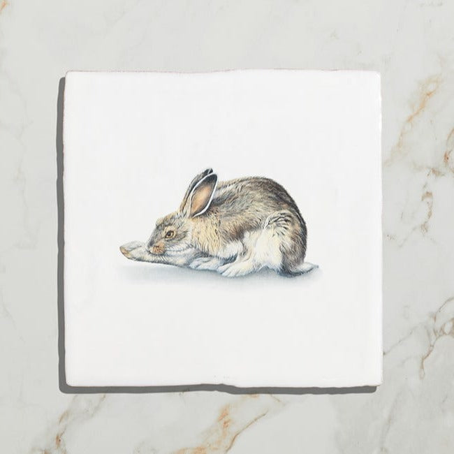 Wiltshire Hares by Joanna May (On Rural White Base) Gloss Finish