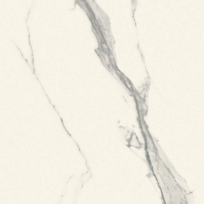 Magnifica Statuario Honed (Room Lot)