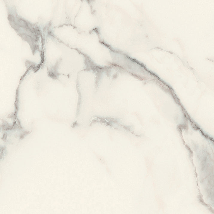 Magnifica Statuario Honed (Room Lot)