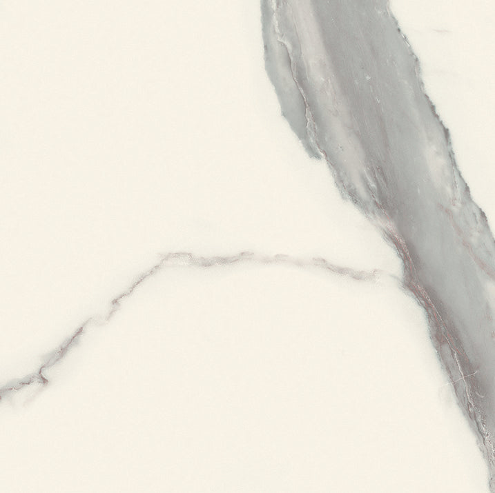 Magnifica Statuario Honed (Room Lot)