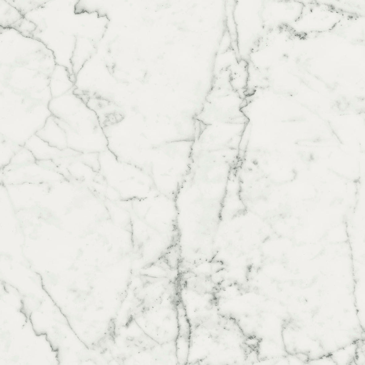 Magnifica Ghost Natural (Room Lot)