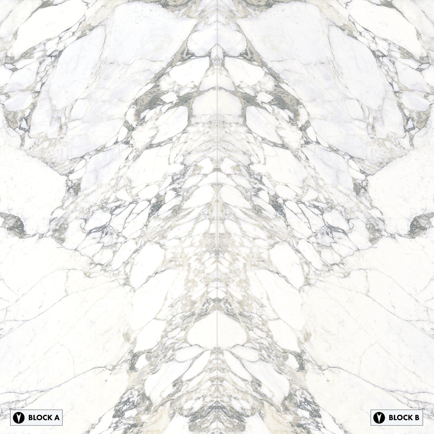 Elementa Arabescato Bookmatched Polished Slab