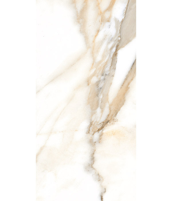 Magnifique Porcelain Polished Oro