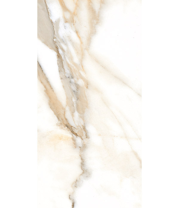 Magnifique Porcelain Polished Oro