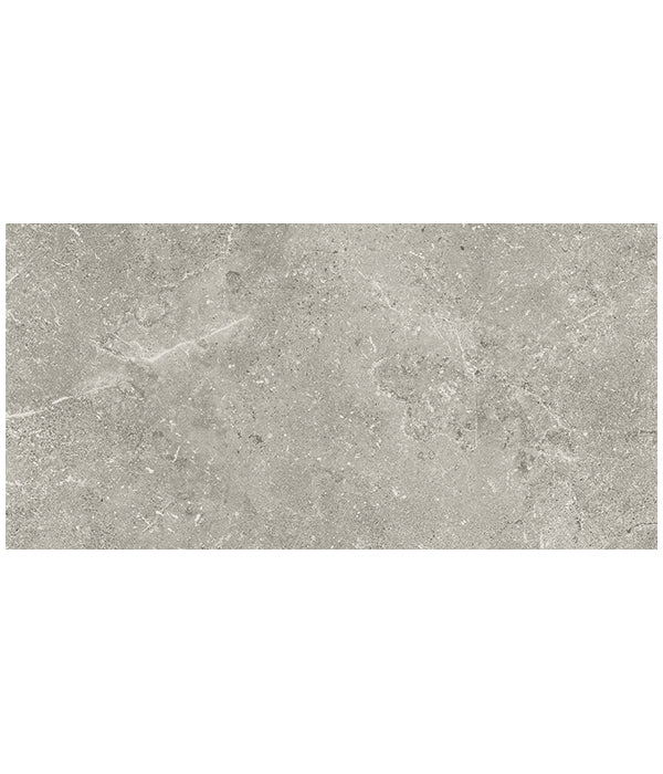 Cotehele Porcelain Grey