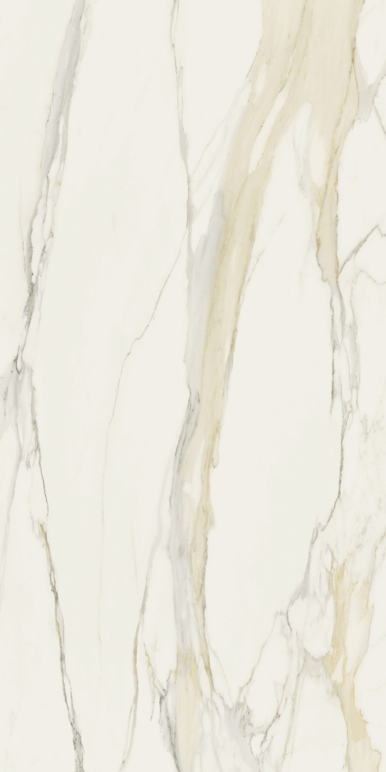 Marmi Calacatta Gold (Matte)