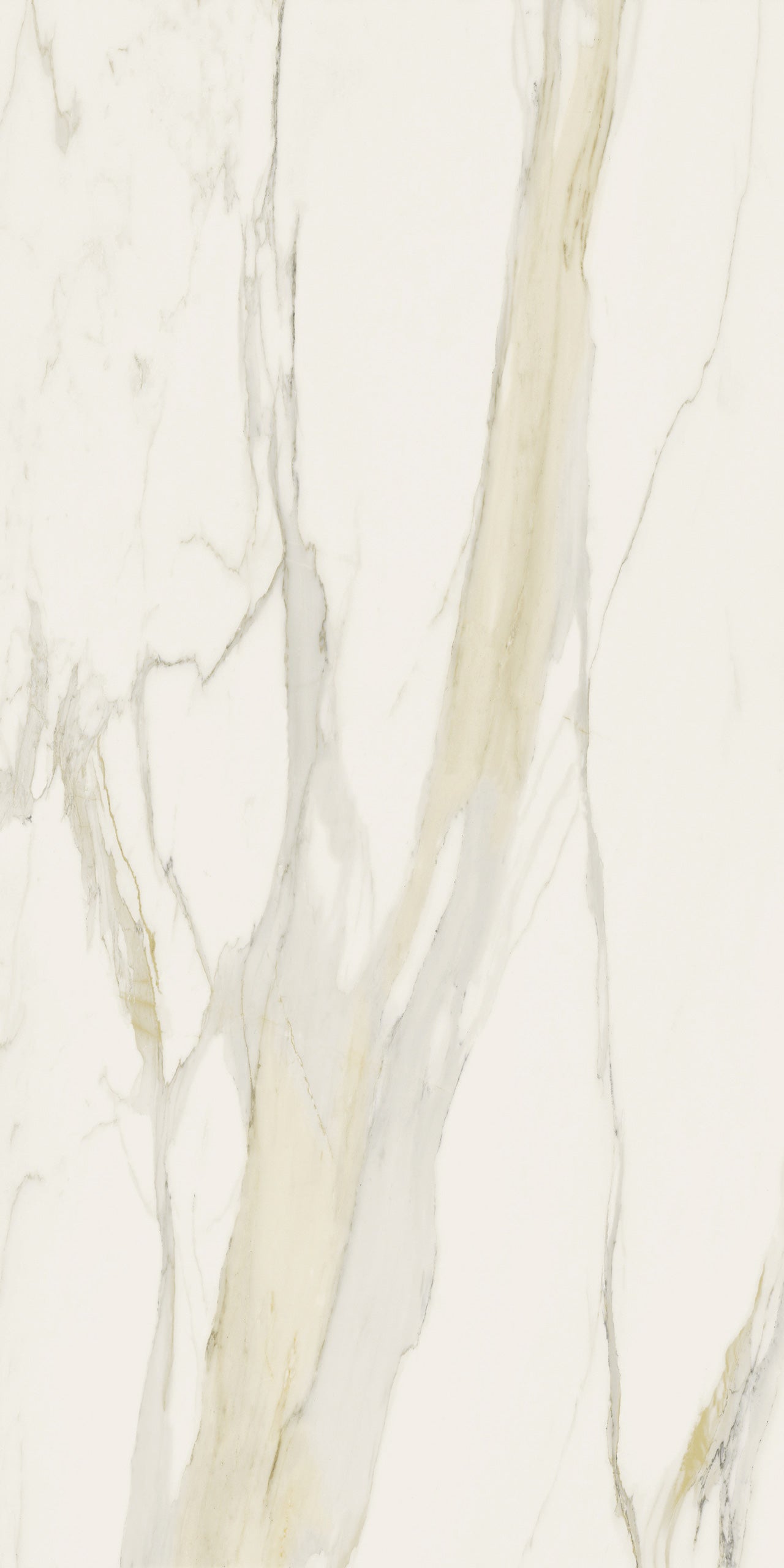 Marmi Calacatta Gold (Matte)