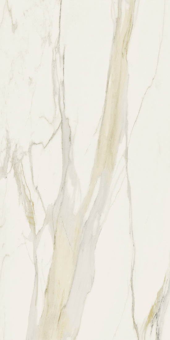 Marmi Calacatta Gold (Matte)