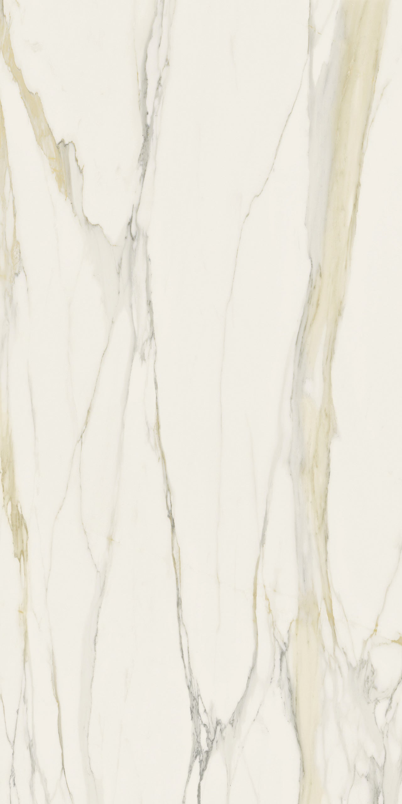 Marmi Calacatta Gold (Matte)