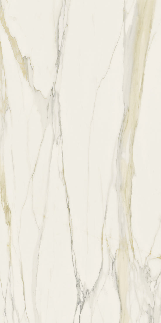 Marmi Calacatta Gold (Matte)