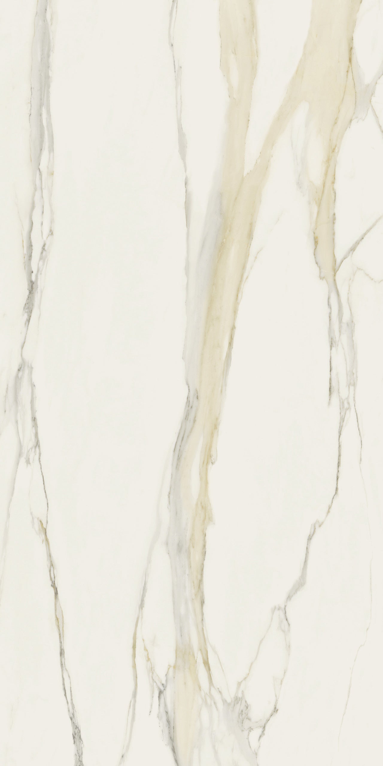 Marmi Calacatta Gold (Matte)