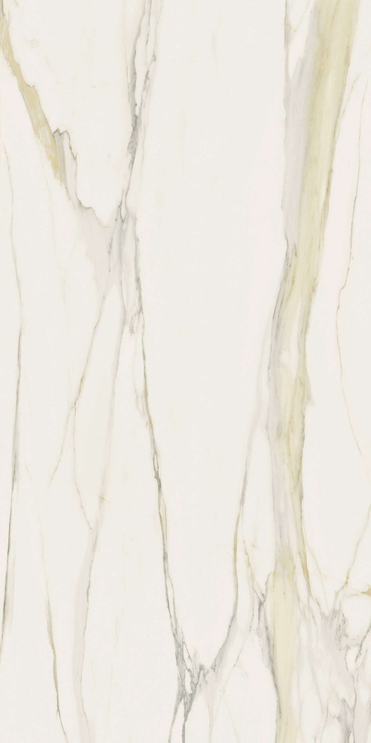 Marmi Calacatta Gold (Matte)