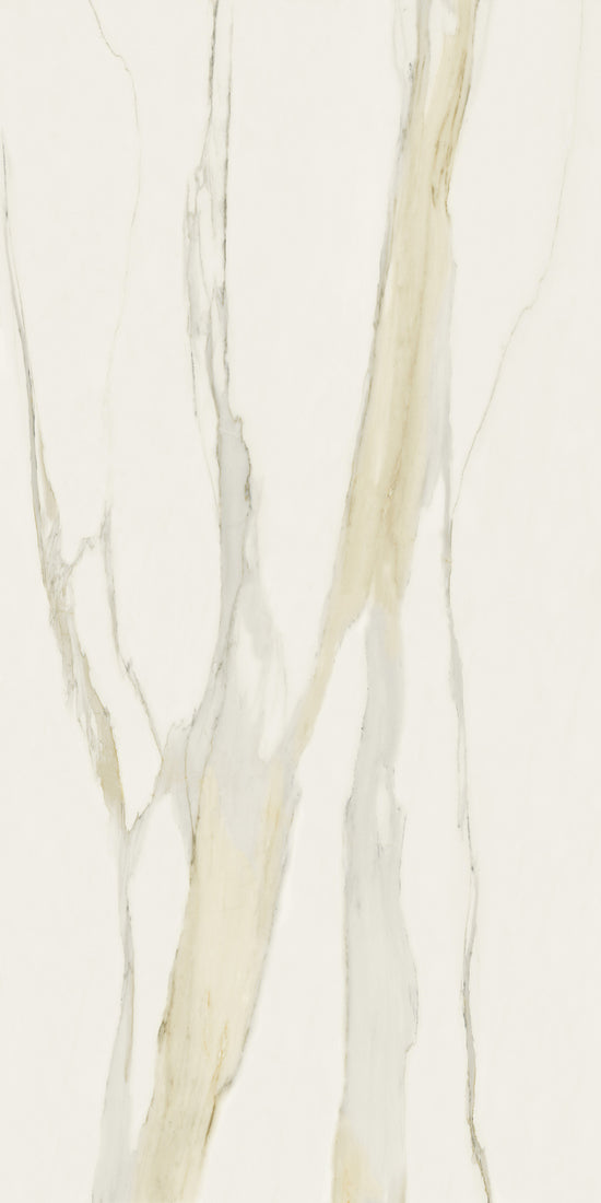 Marmi Calacatta Gold (Matte)