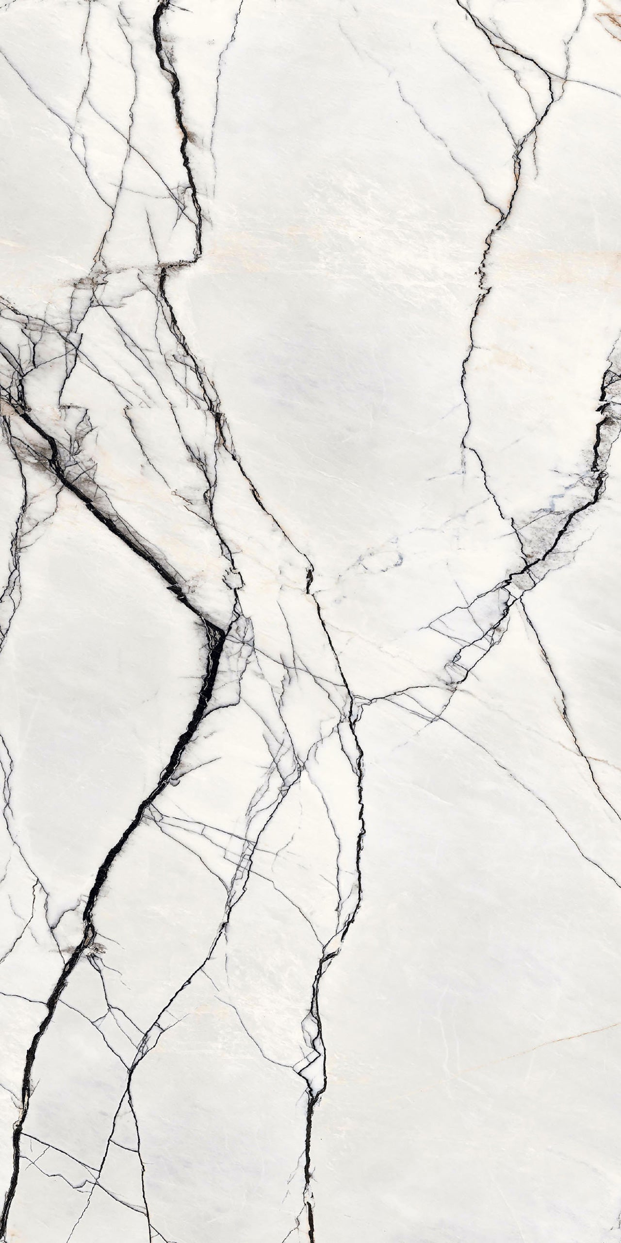 Marmi Breach (Matte)
