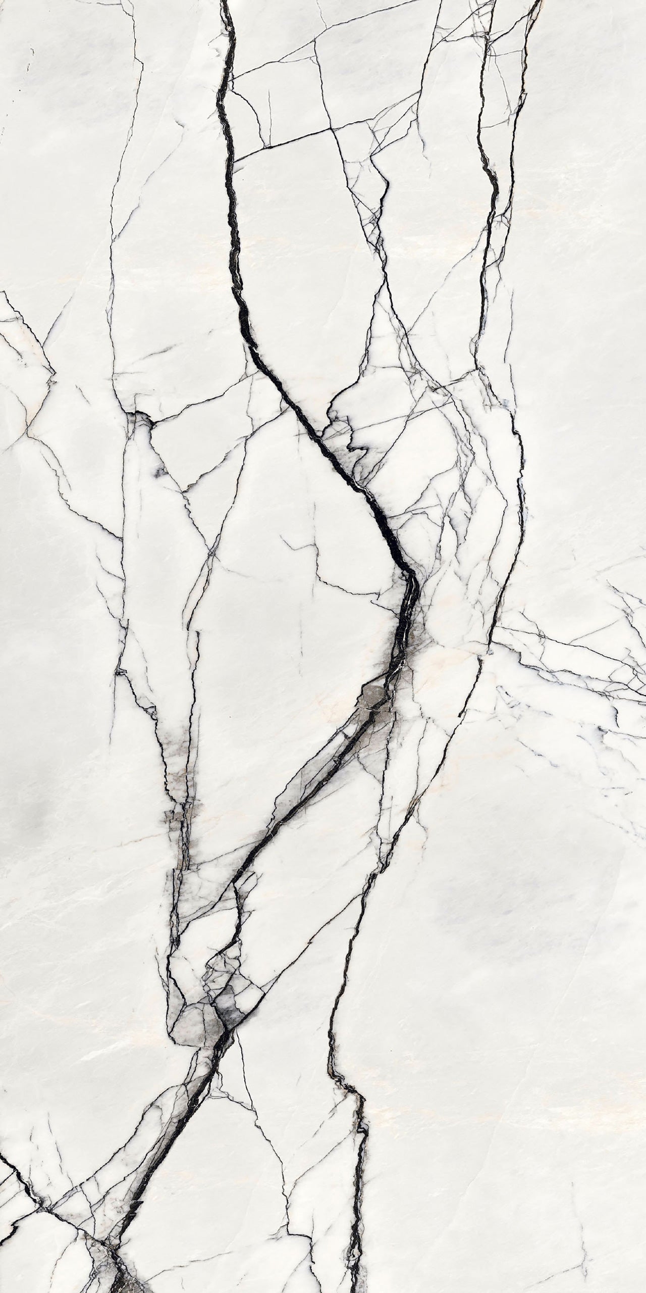 Marmi Breach (Matte)
