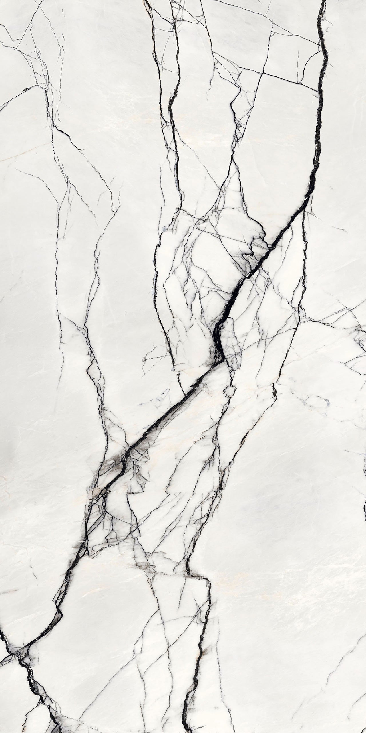 Marmi Breach (Matte)
