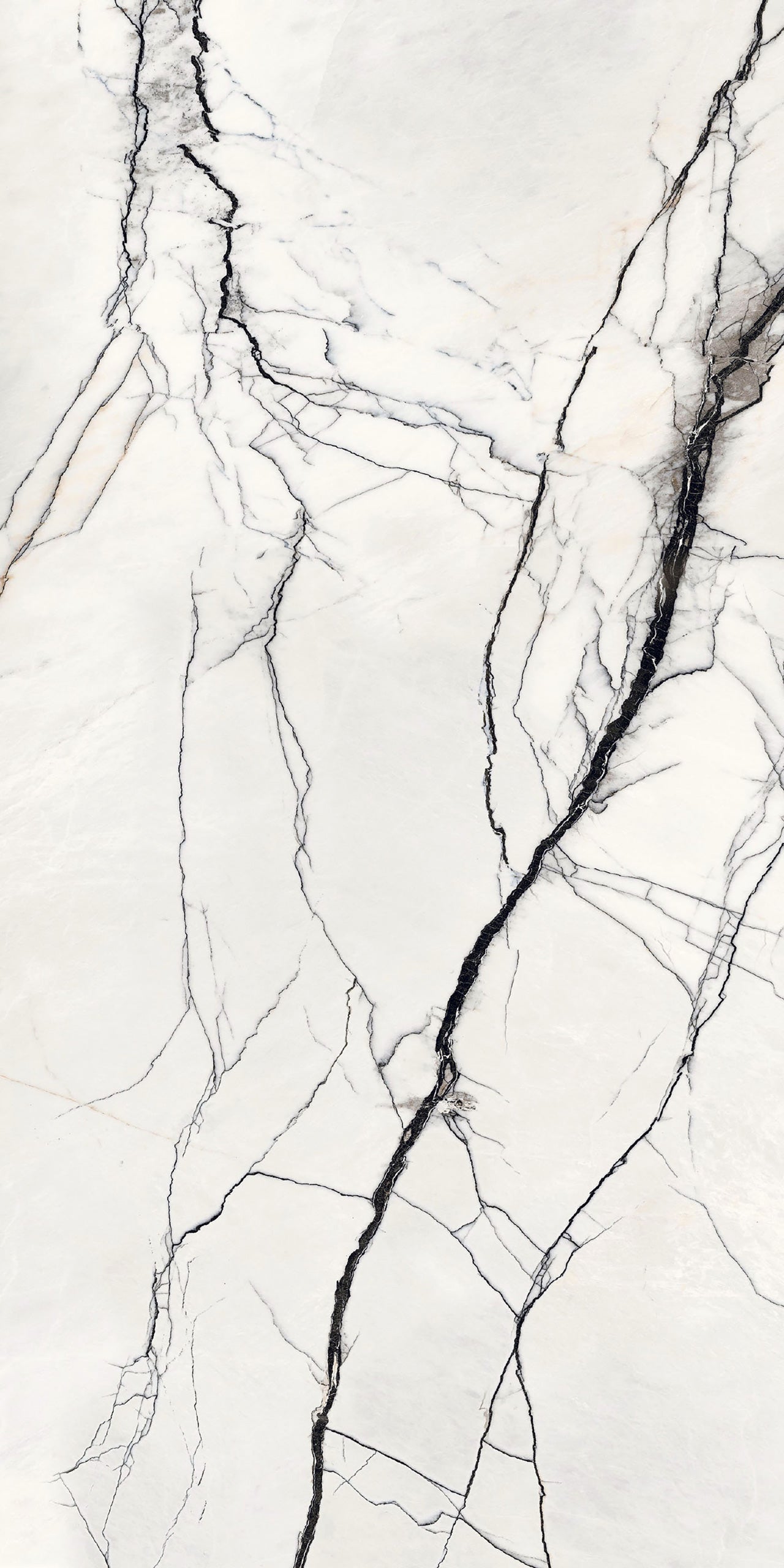 Marmi Breach (Matte)