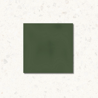 Argilla Verde Gloss