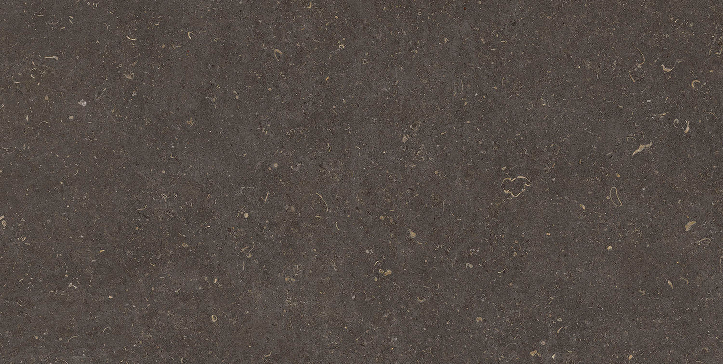 Belgo Anthracite Natural Slab