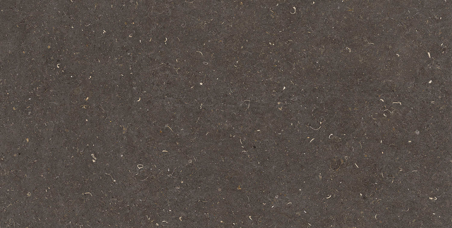 Belgo Anthracite Natural Slab