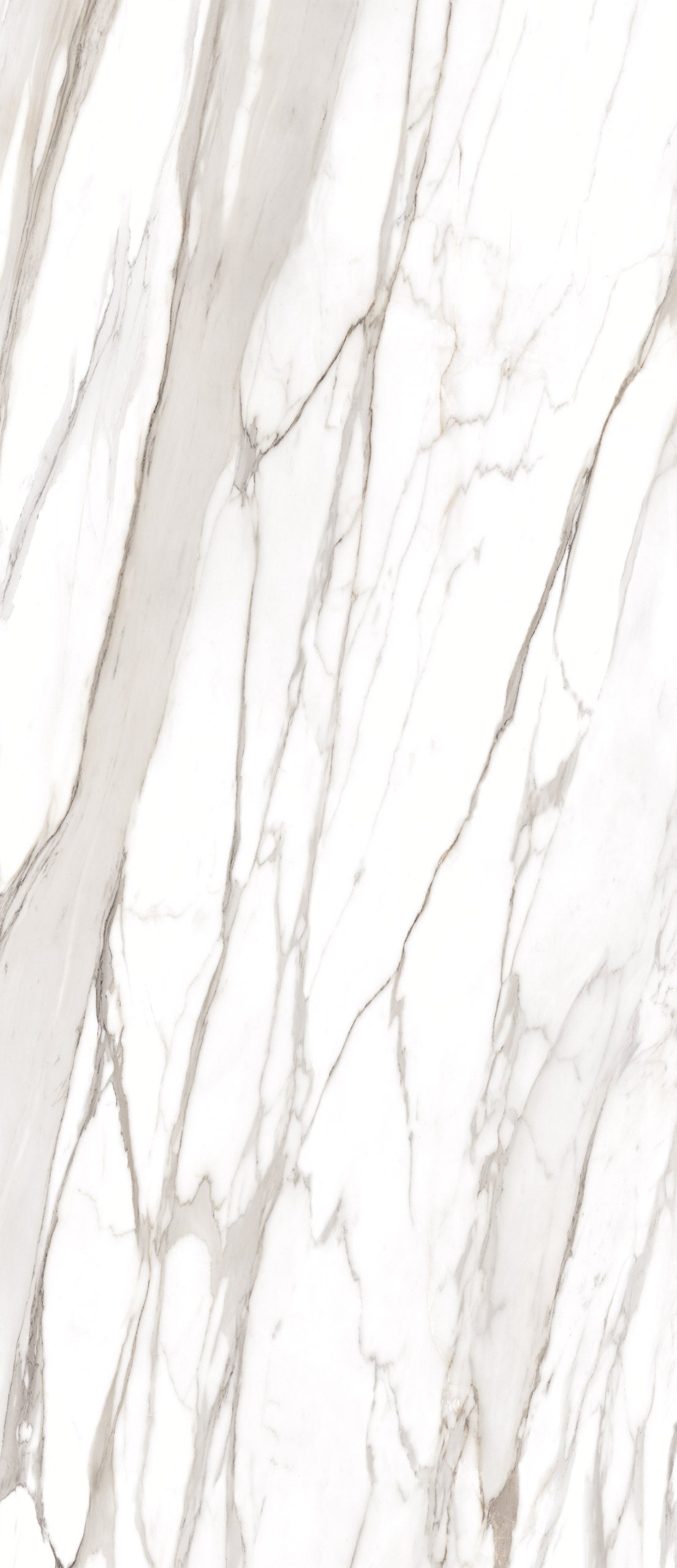 Marmi Calacatta Gold Canova (Full Lappato)